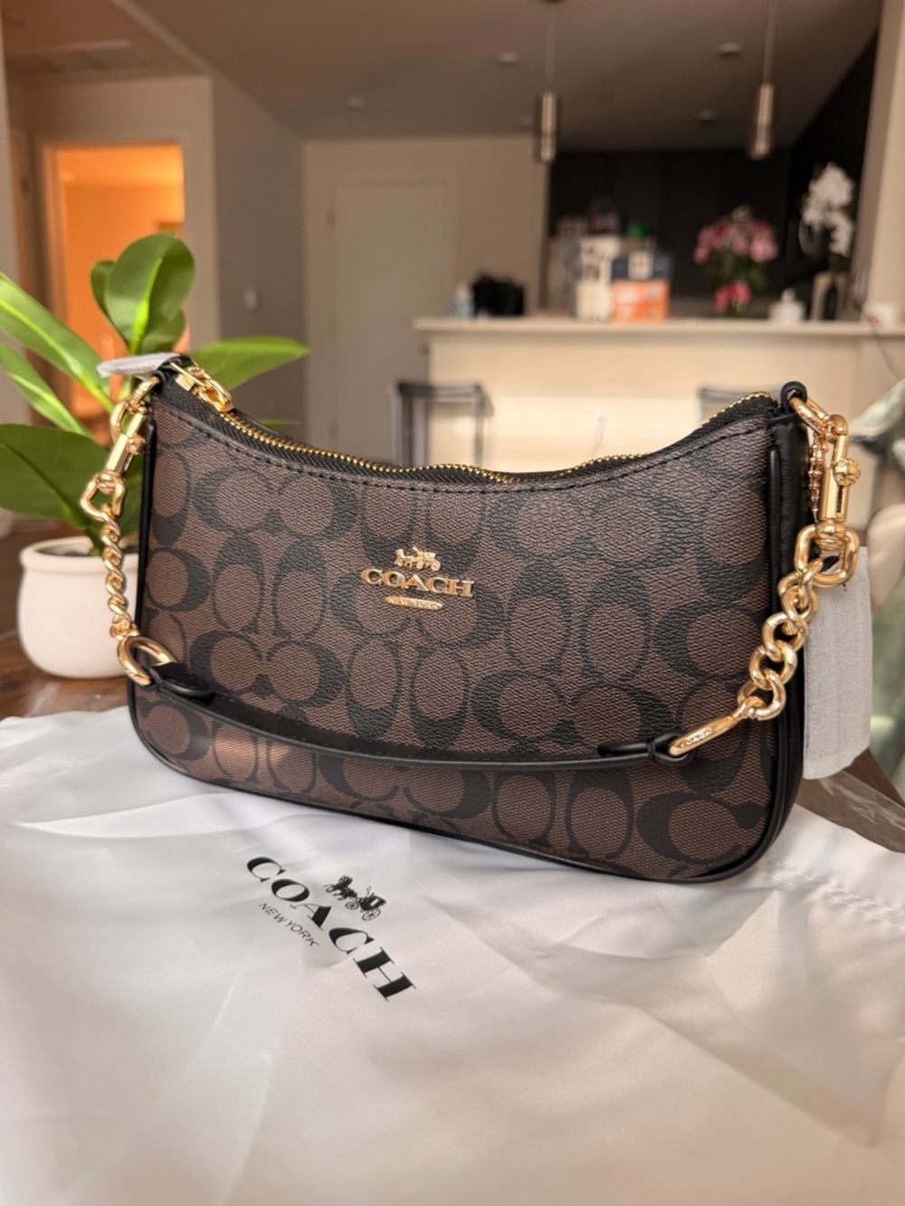 Coach Teri Shoulder Bag in Signature Leather

Black, Brown, Gold - Picture 2 of 5